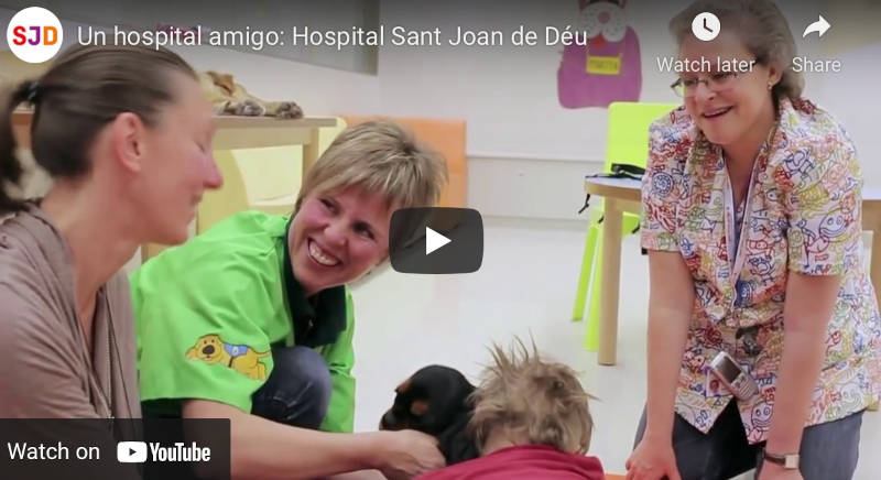 hospital amic youtuve